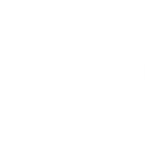 logo-bdi-blaise